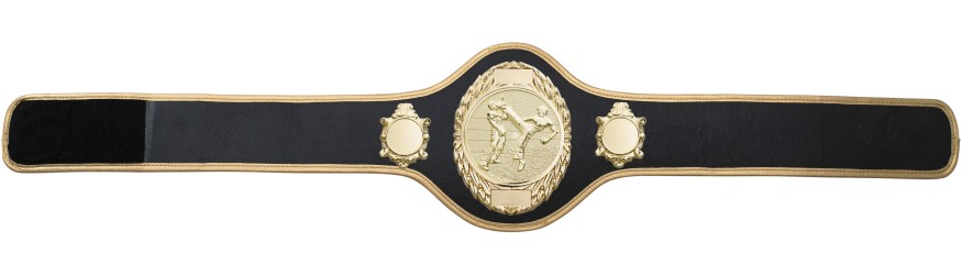 KICKBOXING CHAMPIONSHIP BELT-PRO286/G/KBOG-10+ COLOURS